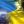 Наталія Чебан