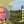 Анастасія Рибенко