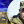 Євген Устименко