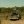 Яна Порохня