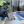 Наталія Чебан