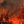 Богдана Карц