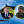 Олена Руденко