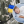Каролина Терещенко