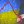 Олександр Охріменко
