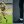 Артур Гор