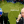 Анастасія Мокрик