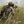 Максим Яценко