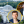 Вадим Михальченко