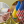 Ирина Мазуренко