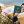 Марія Назарова