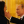 Максим Яценко