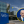 Анастасія Рибенко