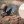 Яна Порохня