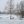 Дмитро Дубенський