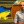 Наталия Тютюненко