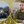 Петро Андрющенко