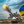 Александра Матвийчук