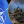 Кирило Сазонов