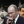 Игорь Тимофеев