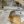 Антон Корж
