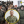 Вадим Михальченко