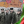 Анастасия Мокрик