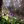 Валерій Лобовко