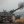 Елена Вечканова