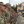 Каролина Терещенко