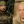 Марта Иваненко