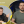 Анастасія Рибенко