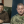 Анастасія Рибенко