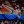 Валерій Лобовко