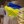 Анна Дворовенко