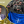 Марія Назарова