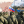Дмитро Романов