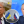 Ігор Уманський