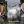 Євген Устименко