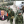 Анастасія Галата