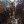 Юлія Закірова