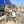 Анастасія Рибенко