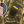 Євген Устименко
