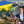Наталья Кухарик