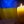 Анна Дворовенко
