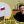 Марта Иваненко