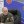 Олексій Руденко