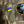 Євген Устименко