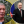 Тетяна Крутякова