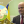 Марія Назарова
